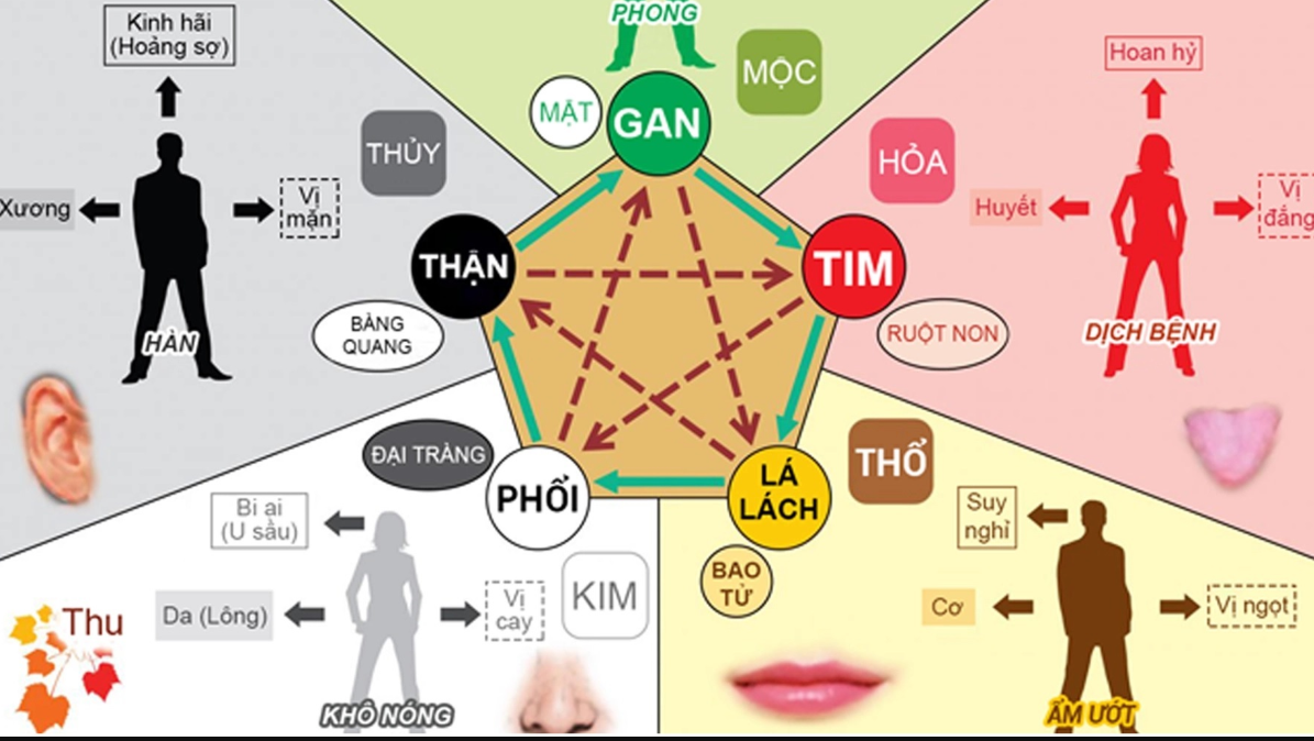 Ngũ hành và sự phù hợp của vật phẩm